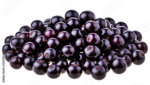 Quadro su tela Pile of dark purple acai berries, isolated on transparent background
