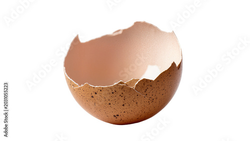Broken brown speckled eggshell half, isolated on transparent background