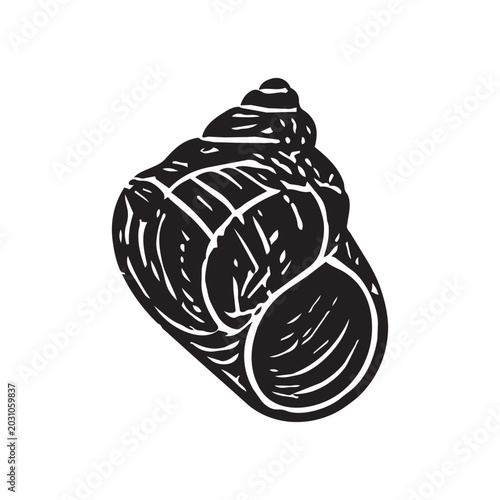 Photography Vector sea shell with illustration beach ocean for linocut stamp silhouette