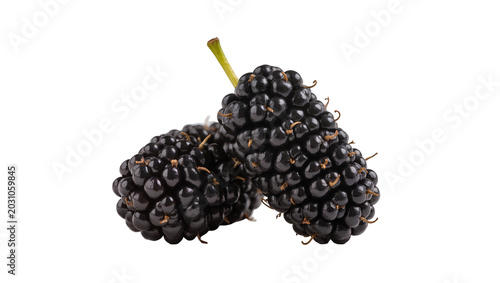 Tableau sur toile Two ripe black mulberries with stems, isolated on transparent background