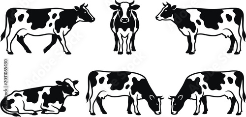 Foto Holstein Friesian Cow Silhouette Vector Collection with Various Farm Animal Pose