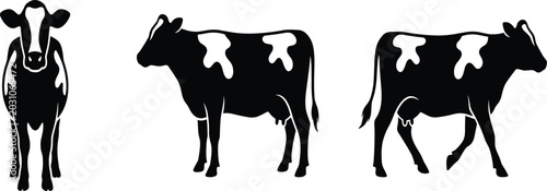 Fotografie Holstein Friesian Dairy Cow Silhouette Vector Set with Front and Side Profile Po