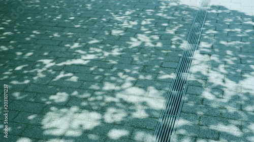 影　道路