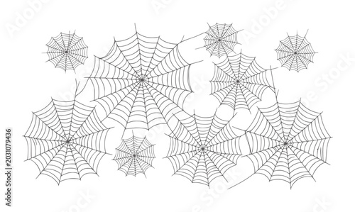 Quadro su tela Collection of black spiderwebs white arachnid insect nature creepy