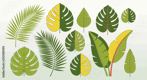 Photos Tropical Leaves Collection: Monstera, Palm, Banana Leaves - Green & Yellow