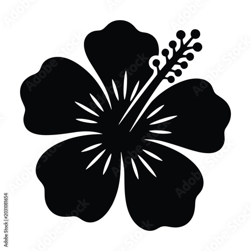 Black and white plumeria flower vector illustration isolated on white background