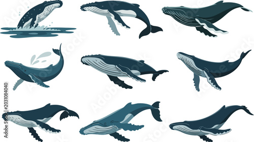 Schilderij op canvas Humpback whale illustrations collection showing marine life swimming and breaching in ocean waters for nature project work