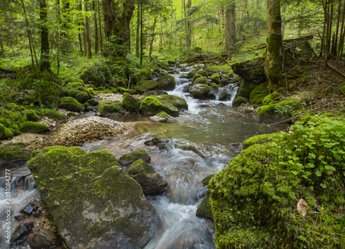Les gorges du Pichoux sont des gorges situées sur le territoire des communes du Petit-Val et de la Haute-Sorne, le long de la Sorne, dans les cantons Berne et du Jura, en Suisse.