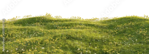Panel kuchenny z motywem Flowering grassy meadow terrain with dandelions isolated on transparent background for landscape design asset. 3D rendering.