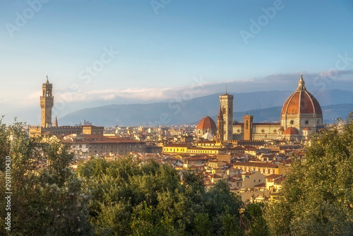 Fotografija Florence Cityscape with Duomo and Palazzo Vecchio, Tuscany