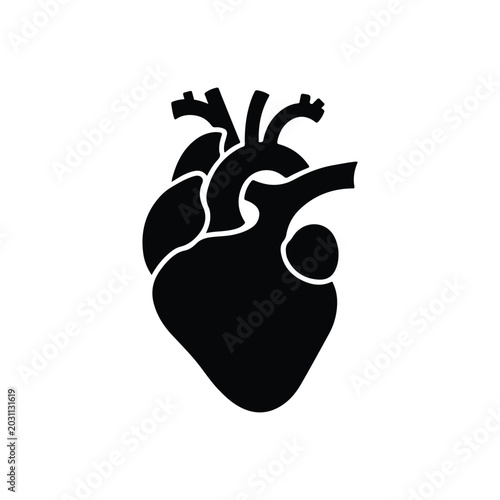 Stylized black silhouette of human heart isolated on white background