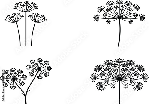 Foto Dill and Fennel Flower Silhouette Icon Set with Wild Carrot, Parsley, and Botani