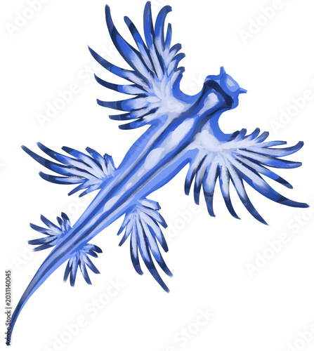 Bild auf Leinwand Blue Glaucus Sea Dragon