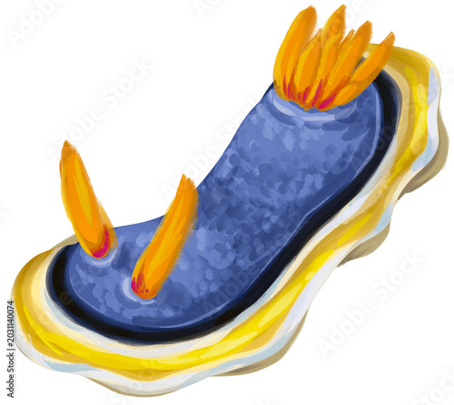 Foto Blue Nudibranch Sea Slug