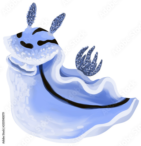 Konstfotografi Chromodoris Willani Sea Slug