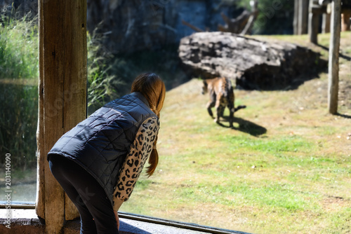 Photography Woman leans near a glass pane, watching an animal