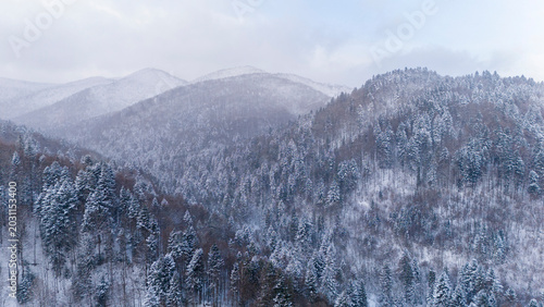 Fotografie Winter in the Carpathians in snowfall drone view
