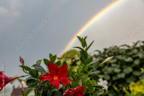 Mit Regenbogen