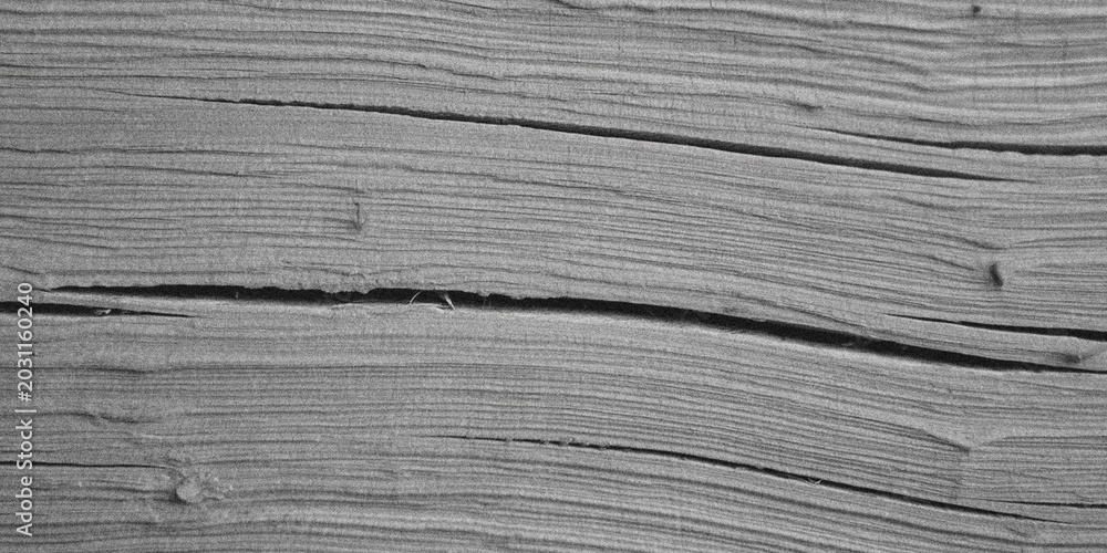 Fototapeta premium Close-up texture of weathered asphalt road surface with visible cracks and wear in natural daylight