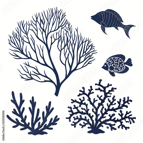 Photography Underwater scene with coral and fish coral reef coral reefs marine life