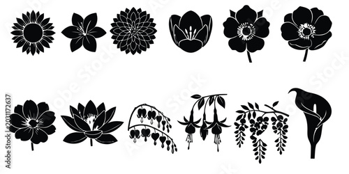 Konstfotografi Detailed Flower Head and Blossom Silhouette Vector Collection