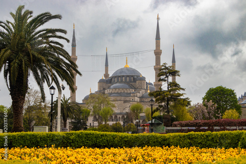 Canvas Print Blue Mosque Istanbul