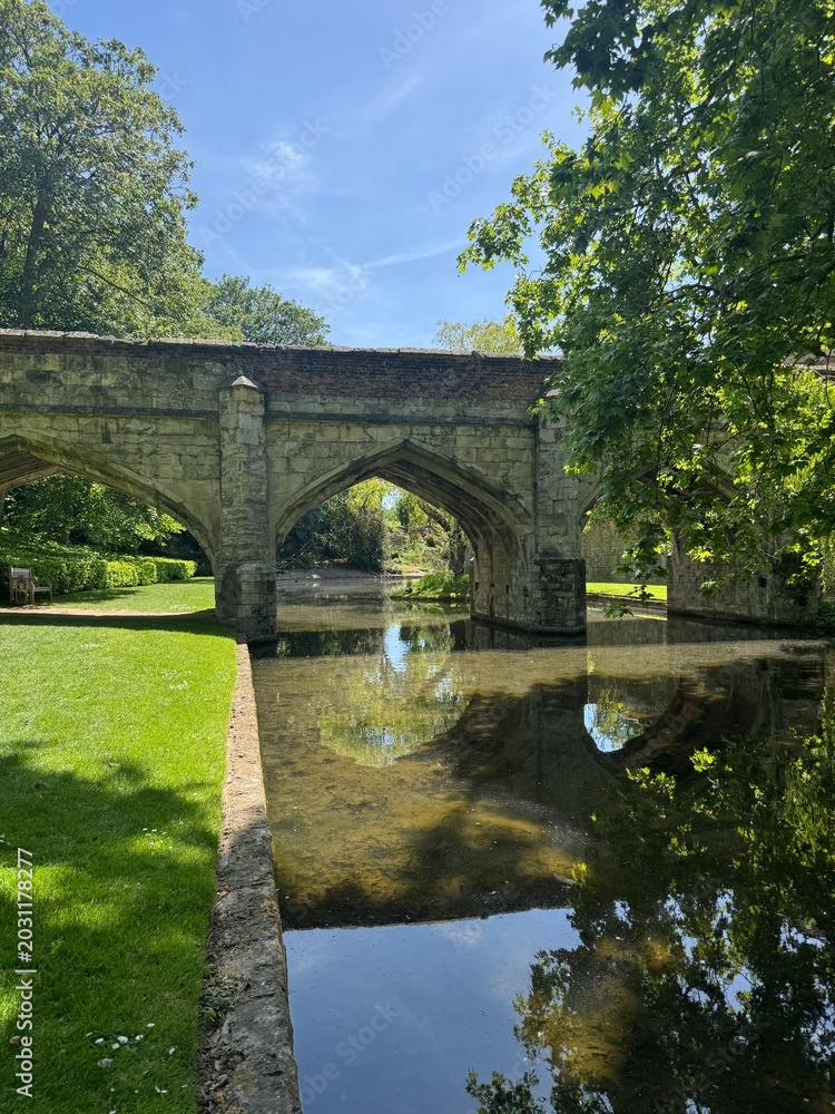 Fototapeta premium bridge over the river