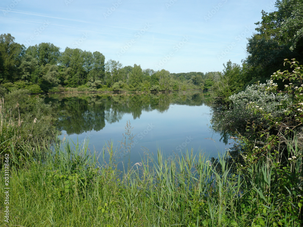 Fototapeta premium Lakeside Tranquility