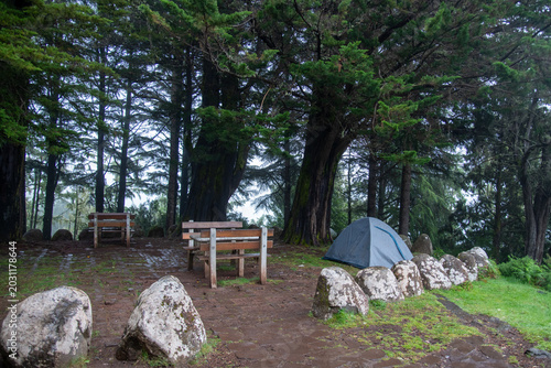 Fotografie A small gray camping tent pitched next to wooden picnic tables in a lush green pine forest on a misty day