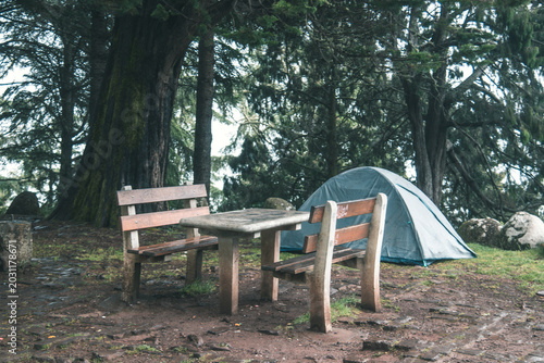 Fotografía A green camping tent pitched near a wooden picnic table and benches in a misty, atmospheric pine forest