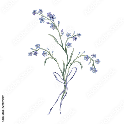 Bouquet of blue forget-me-nots flowers with bow. Hand drawn watercolor illustration on isolated background. For wedding invitations, greeting cards.