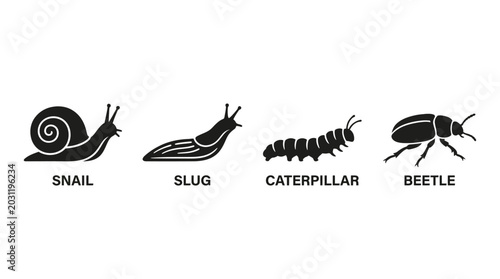 Tableau sur toile insect and mollusk silhouettes on white background