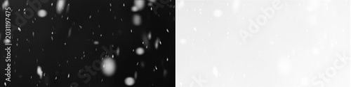 Floating falling snowflakes isolated on transparent background for winter holiday weather composite overlays.
