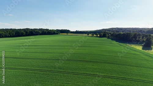 Aerial View of Green Wheat Field and Forest in Summer Rural Landscape - Germany 