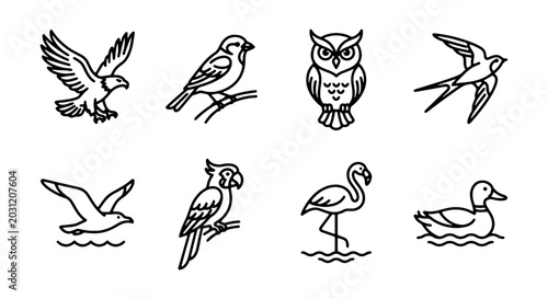 Minimalist Bird Icons Set, Simple Line Art Avian Collection