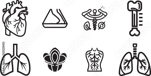 Cuadro en lienzo Medical anatomy icons set, minimalist human heart, lungs, bone and circulatory s