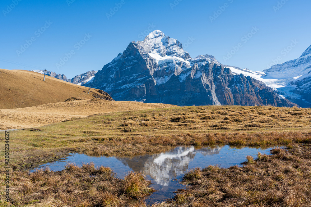 Obraz premium Snow capped Wetterhorn and Schreckhorn mountain peaks reflected symmetrically in small trail water puddle in autumn. Grindelwald First, Switzerland.