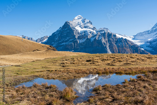 Snow capped Wetterhorn and Schreckhorn mountain peaks reflected symmetrically in small trail water puddle in autumn. Grindelwald First, Switzerland.