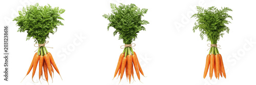 Fresh Raw Carrots Bundle with Green Tops Set Isolated on Transparent Background, Organic Farm Vegetable PNG Collection