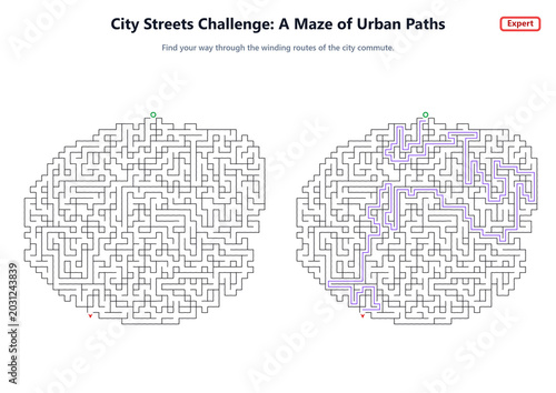 City Streets Challenge: A Maze of Urban Paths