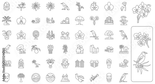 Collection of Simple Insect Illustrations and Icons.
