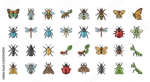 Collection of Various Insect Illustrations.
