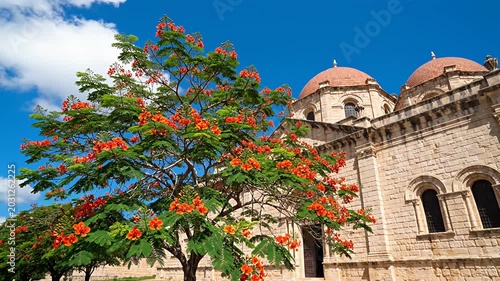 Historical building with orange flowers against blue sky