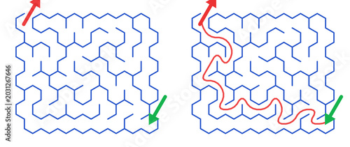 Maze Hex 8X8 03 | Printable Puzzle with Solution