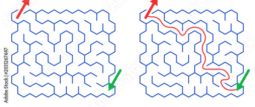 Maze Hex 8X8 04 | Printable Puzzle with Solution