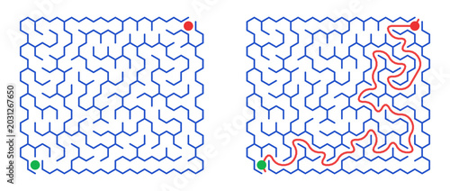 Foto Maze Hex 12X12 691314222 | Printable Puzzle with Solution