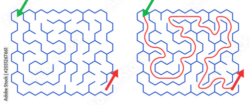 Maze Hex 8X8 01 | Printable Puzzle with Solution
