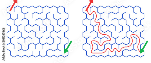 Maze Hex 8X8 02 | Printable Puzzle with Solution