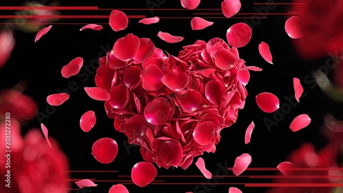 Heart shape formed of red rose petals on black background