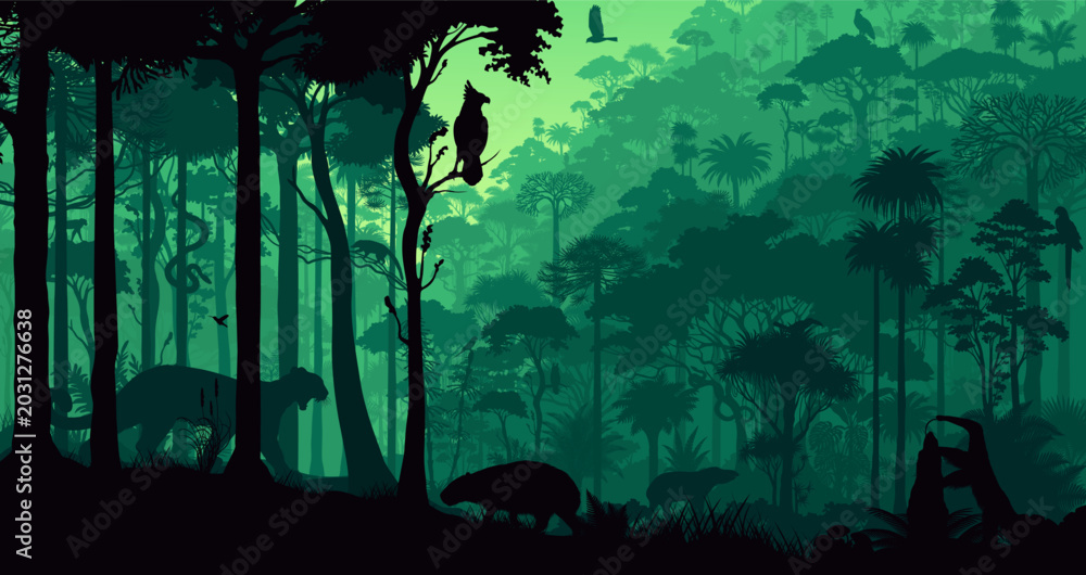 Fototapeta premium Amazon Rainforest Jungle Background with Layered Forest with animals